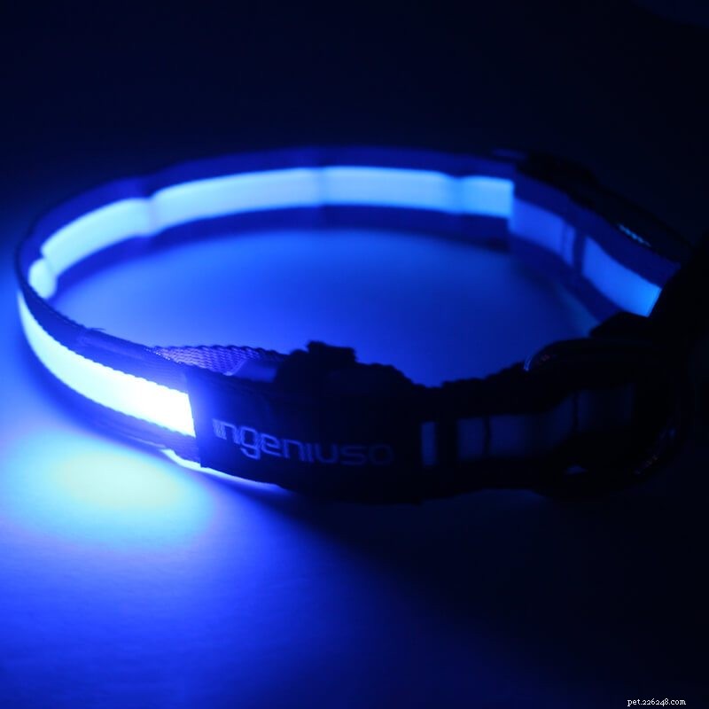 Top 10 Benefits of the Latest LED Dog Collars for Safety and Visibility
