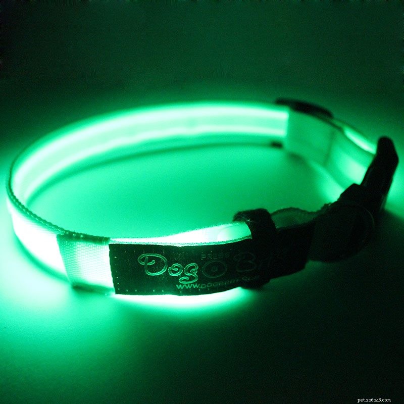 Top 10 Benefits of the Latest LED Dog Collars for Safety and Visibility
