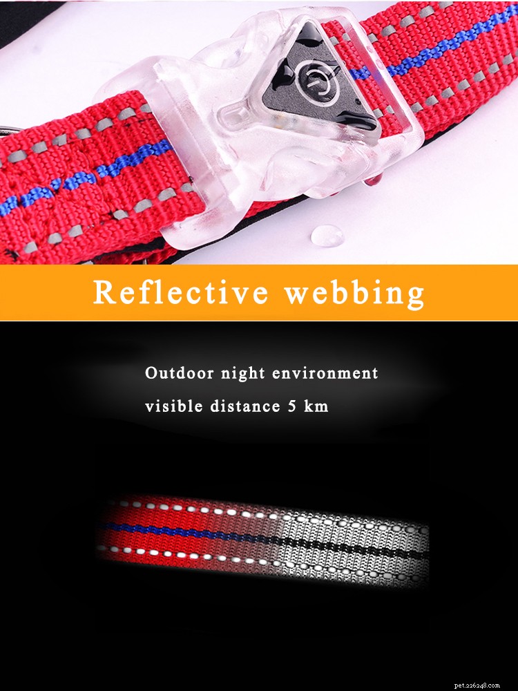 LED Buckle Dog Collars: Safe, Smart Night Walks for You and Your Pet