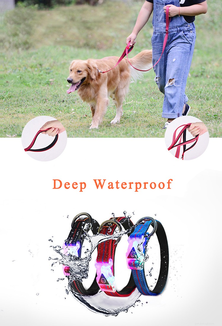 LED Buckle Dog Collars: Safe, Smart Night Walks for You and Your Pet