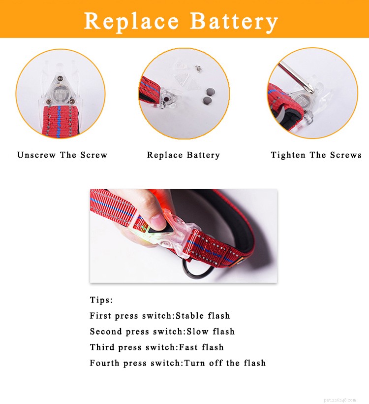 LED Buckle Dog Collars: Safe, Smart Night Walks for You and Your Pet