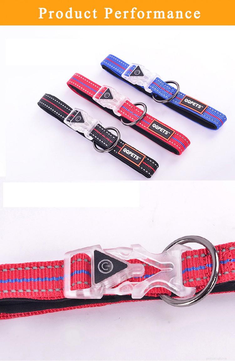 LED Buckle Dog Collars: Safe, Smart Night Walks for You and Your Pet