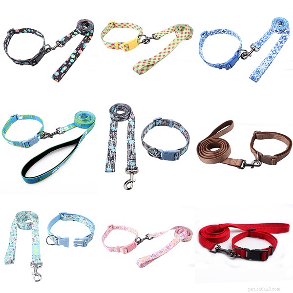 5 Key Benefits of Using a Dog Leash – Keep Your Pet Safe and Your Neighborhood Happy