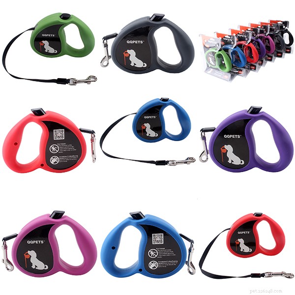 5 Essential Reasons Every Dog Owner Should Use a Leash