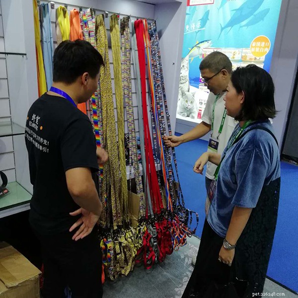 QQPETS: Premium Pet Products for Your Furry Friends – Featured at Pet Fair Asia
