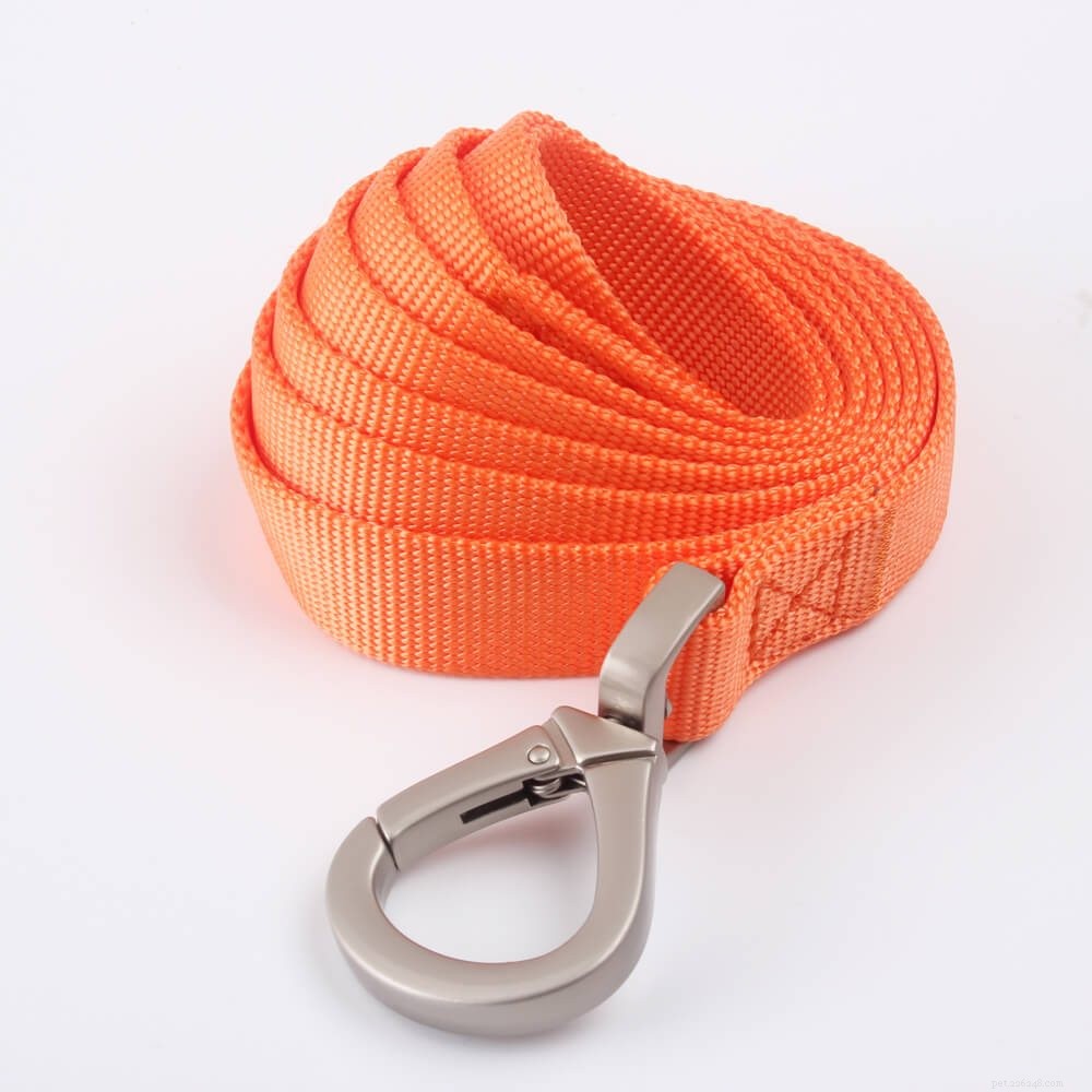 Top Basic Dog Leashes: Simple, Durable, and Reliable for Every Walk