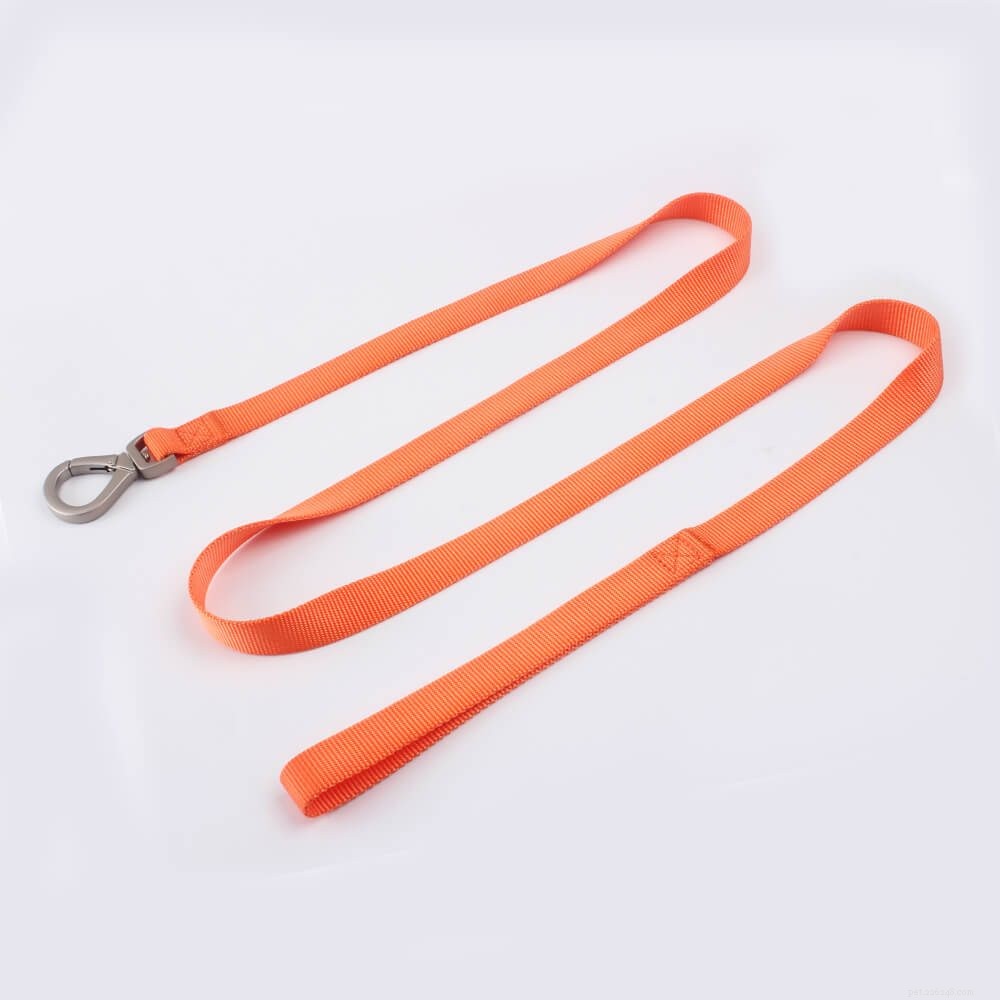 Top Basic Dog Leashes: Simple, Durable, and Reliable for Every Walk