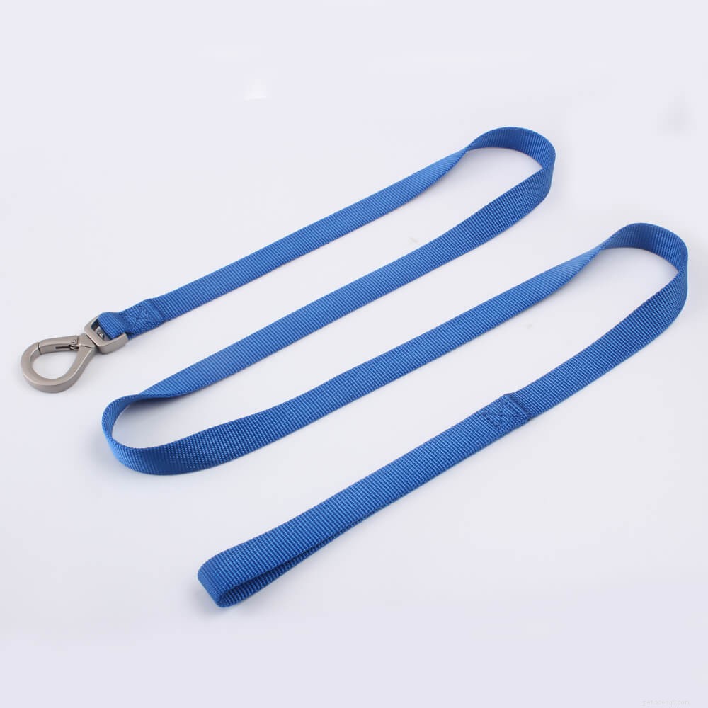 Top Basic Dog Leashes: Simple, Durable, and Reliable for Every Walk