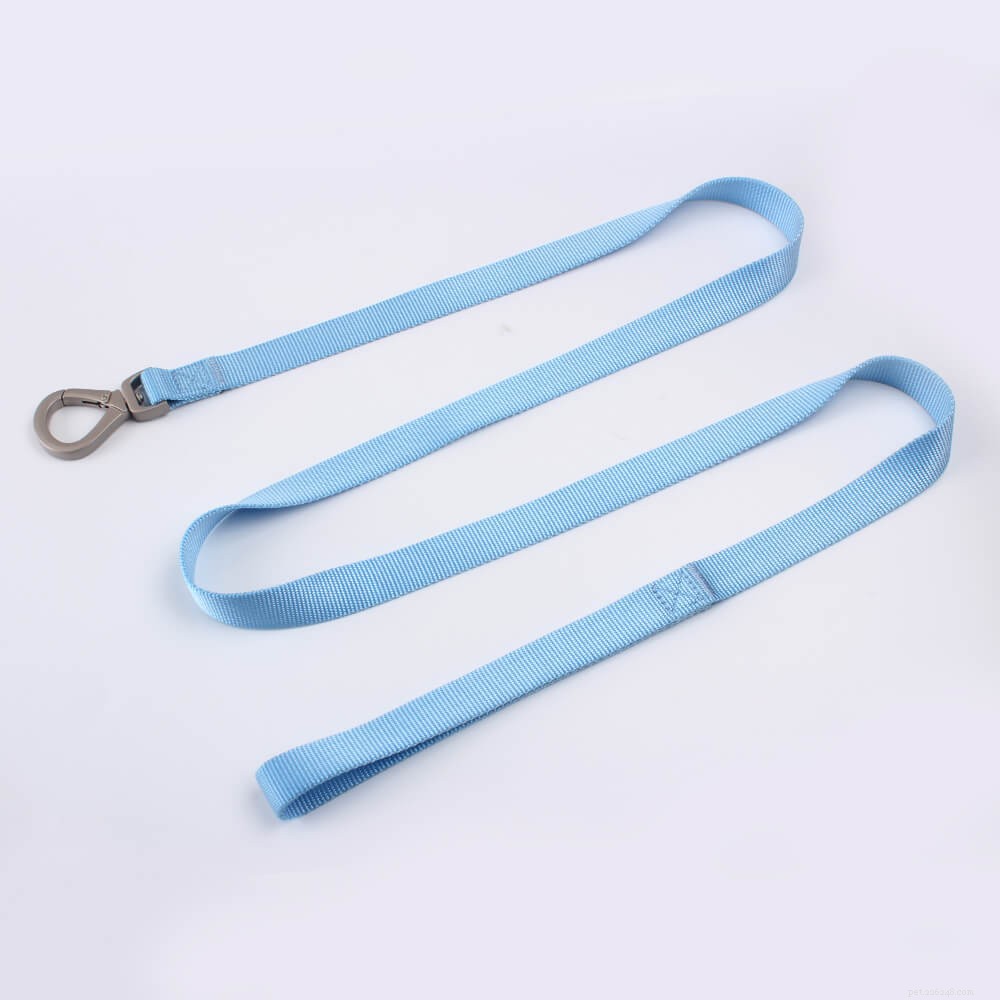 Top Basic Dog Leashes: Simple, Durable, and Reliable for Every Walk