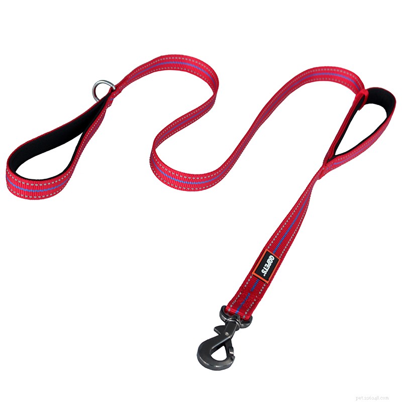 Double‑Handle Dog Leash: The Top Choice for Safe City Walks