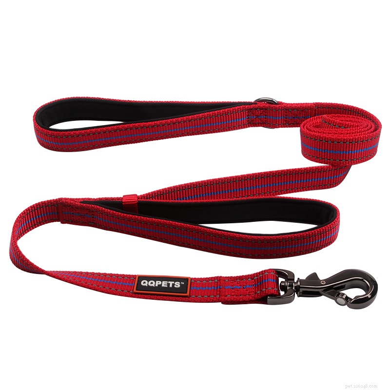 Double‑Handle Dog Leash: The Top Choice for Safe City Walks