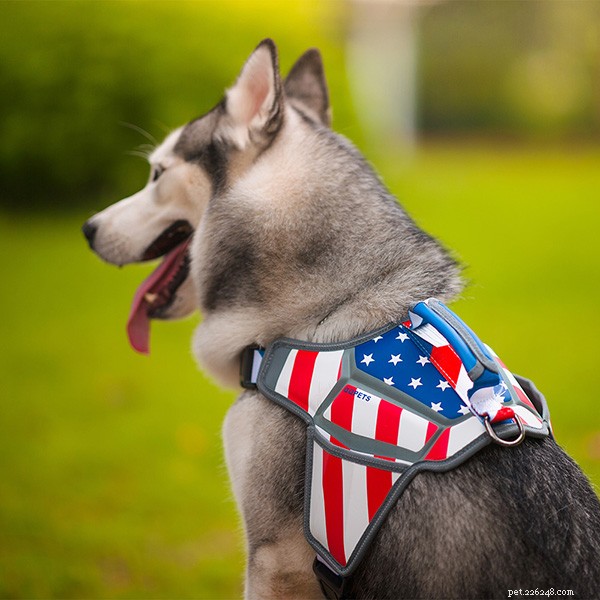 PayPal’s Second Global E‑Commerce Product Matching Conference – Connect with Leading Pet Brands