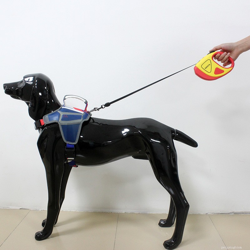 PayPal’s Second Global E‑Commerce Product Matching Conference – Connect with Leading Pet Brands