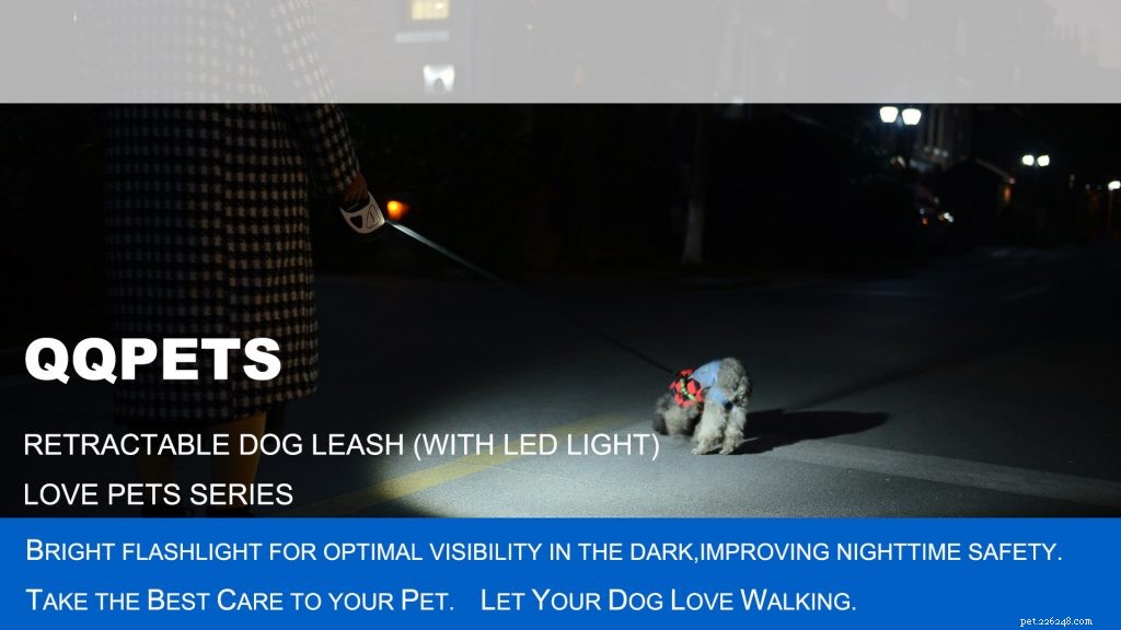 2019 Petfair South China Pet Supplies Exhibition – Premier Pet Products Showcase