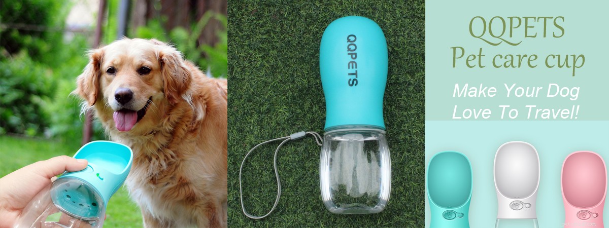 QQPETS Showcases New Pet Travel Cup & LED Leash at Global Pet Expo 2019