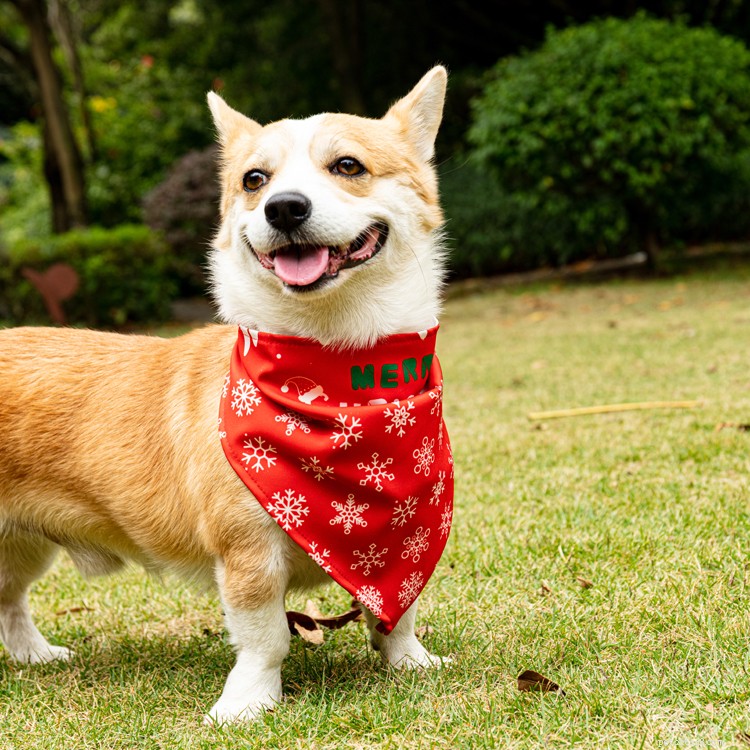 Premium Dog Scarf & Bandana: Stylish Triangular Collars & Bandages for Comfort