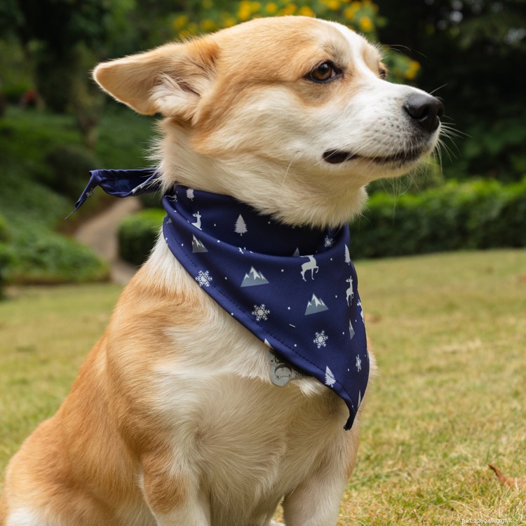 Premium Dog Scarf & Bandana: Stylish Triangular Collars & Bandages for Comfort