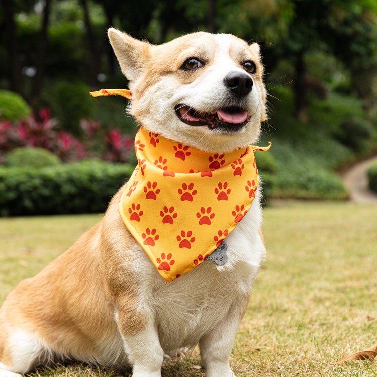 Premium Dog Scarf & Bandana: Stylish Triangular Collars & Bandages for Comfort