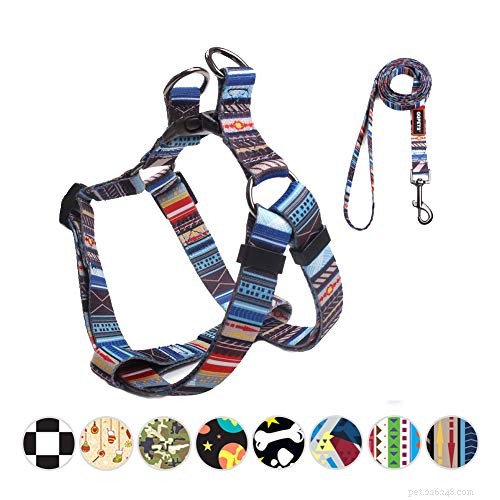 Top 8 Harnesses Every Dachshund Needs – Comfort, Safety, and Style