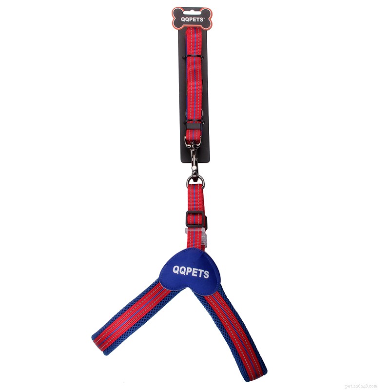 LED Reflective Dog Harness & Leash: The Best Night‑Time Walking Companion