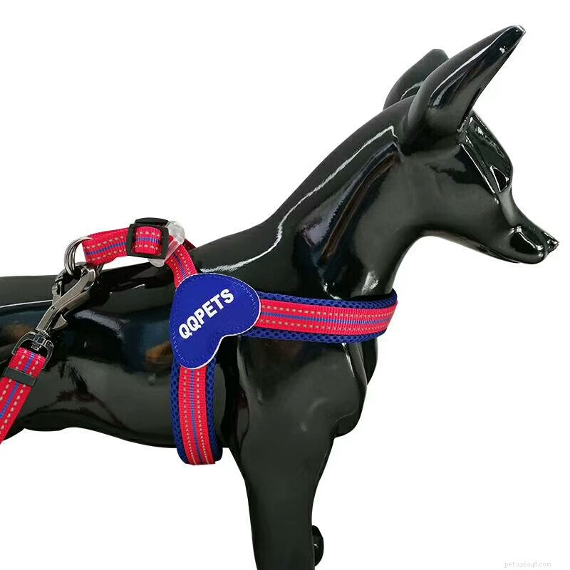 LED Reflective Dog Harness & Leash: The Best Night‑Time Walking Companion