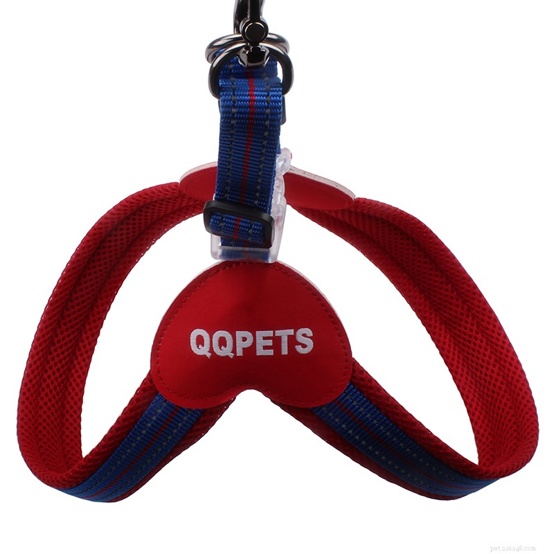LED Reflective Dog Harness & Leash: The Best Night‑Time Walking Companion