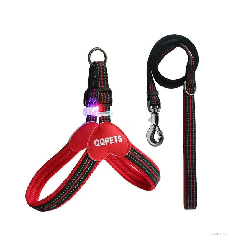 LED Reflective Dog Harness & Leash: The Best Night‑Time Walking Companion