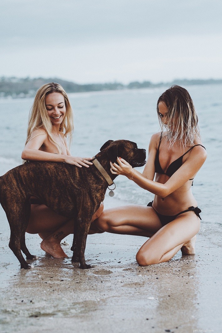 5 Proven Ways to Ease Your Dog’s Anxiety
