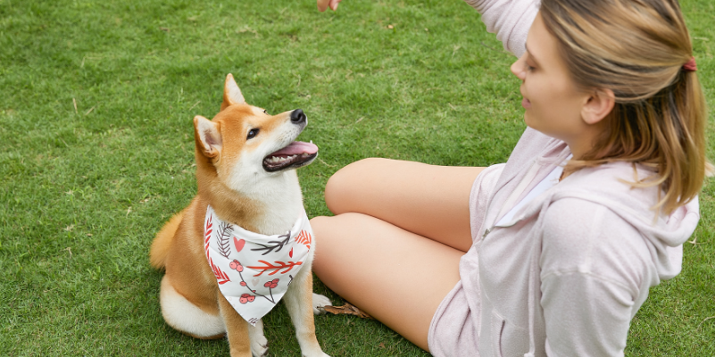 Intriguing Dog Trivia: Uncover the Secrets of Your Furry Companion