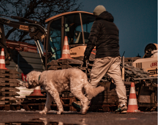 Night Dog Walks: Risks & Essential Safety Tips for Pet Owners