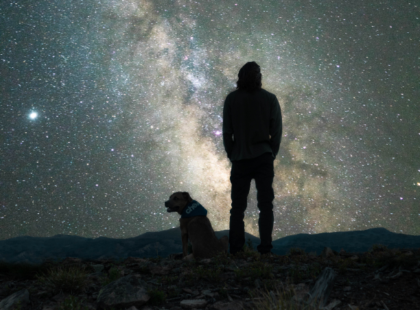 10 Essential Tips Every Dog Owner Should Know