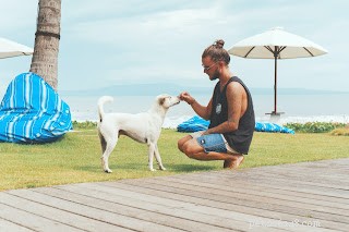 Proven Strategies for Training Your Puppy to Listen and Obey