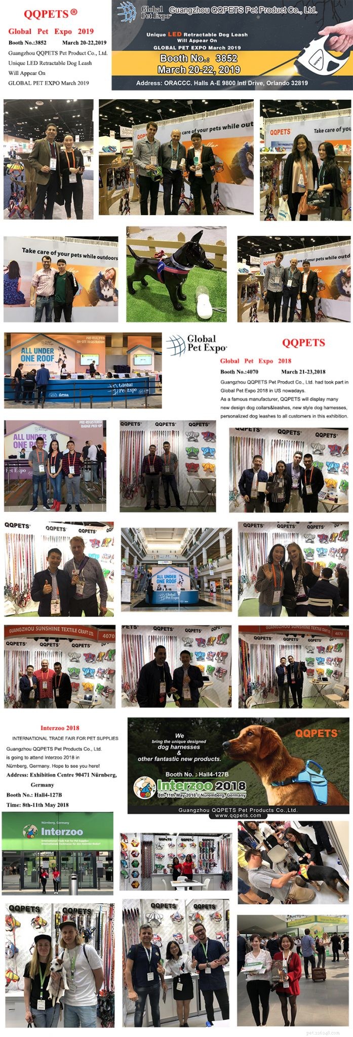 2021 Guangzhou China Pet Fair – 3,000 Brands, 60,000 m² of Pet Innovation