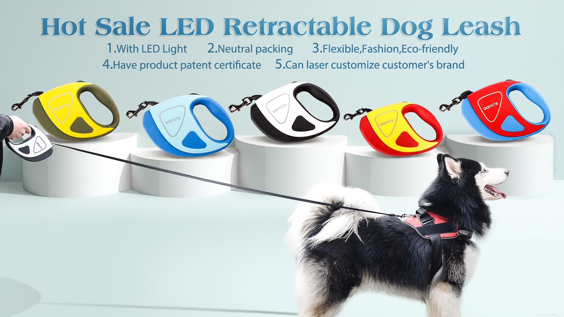 Why a Dog Leash Is Essential: Key Benefits for Safety and Control
