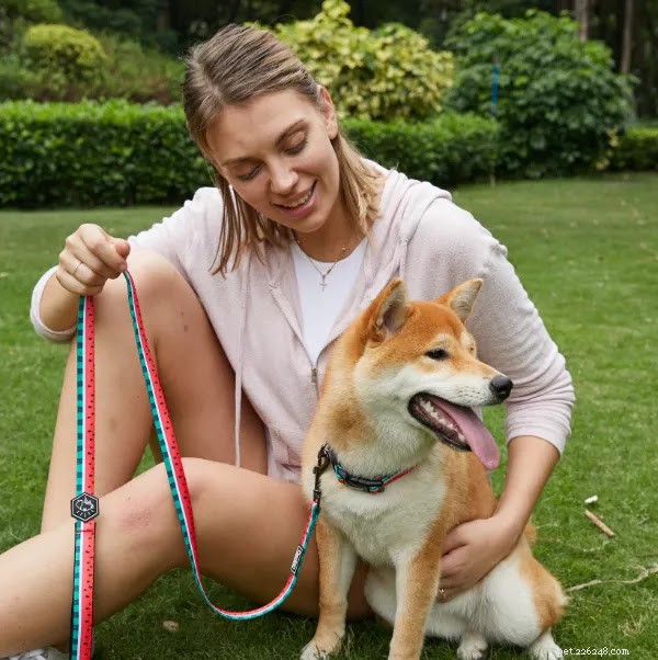 Why Your Dog Resists a Leash & How to Fix It