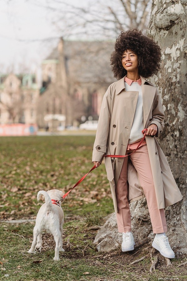 Why Your Dog Resists a Leash & How to Fix It