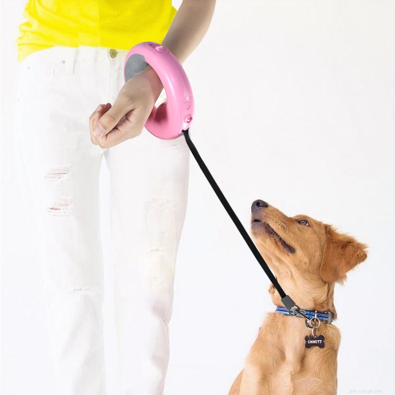 Mastering Retractable Dog Leashes: Proper Use & Training Tips