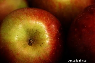 Safe Fruits for Dogs: Boost Health and Wellness