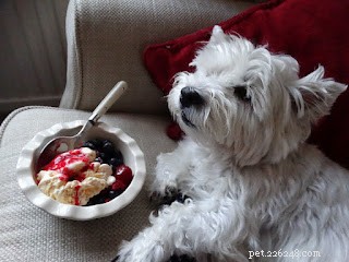 Safe Fruits for Dogs: Boost Health and Wellness