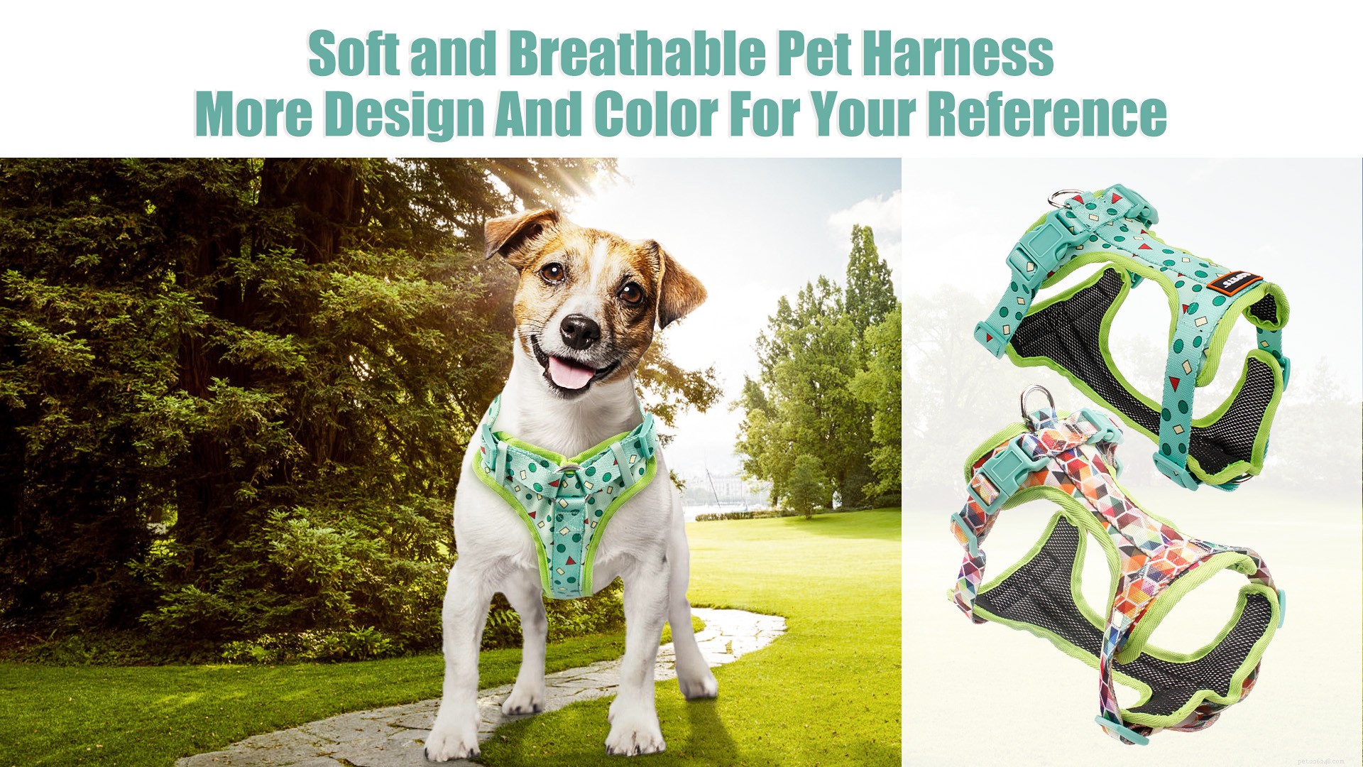 How to Pick the Perfect Dog Harness: Essential Tips
