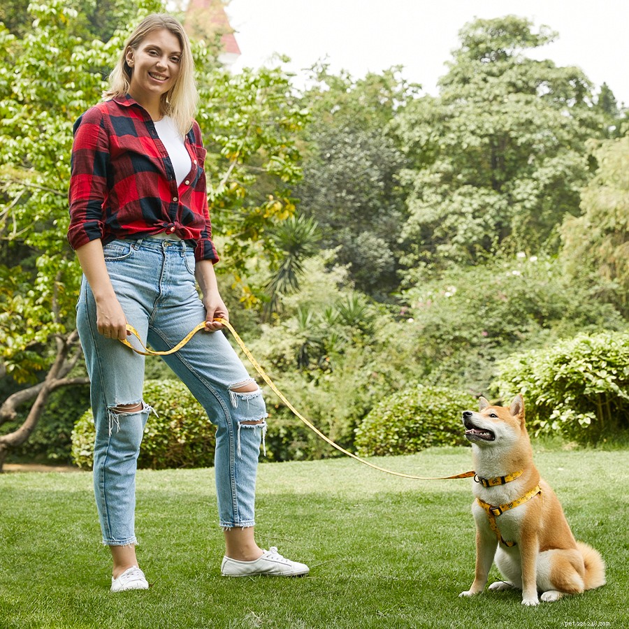 Avoid These 5 Dangerous Risks of Improper Dog Collar Use