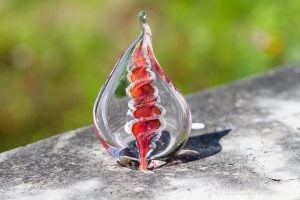 Pet Bereavement Guide: Trusted Options for Safe Body Disposal