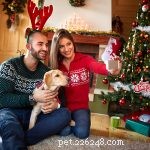 15 Pet-Friendly Holiday Ideas for a Joyful Season