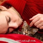 15 Pet-Friendly Holiday Ideas for a Joyful Season