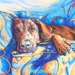 Pet-Friendly Home Décor Ideas – 2017 Gift Guide