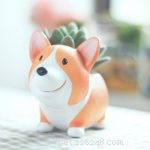 Pet-Friendly Home Décor Ideas – 2017 Gift Guide