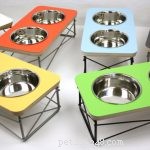 The Ultimate 2017 Holiday Gift Guide for Senior Pets – Expert Picks
