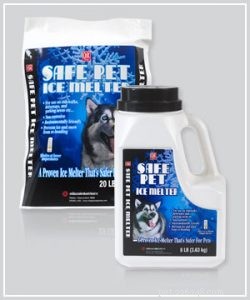 Protect Your Pets from Cold Weather Hazards: Expert Tips & Safety Measures