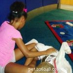The Transformative Impact of Therapy Dogs on Children’s Well‑Being