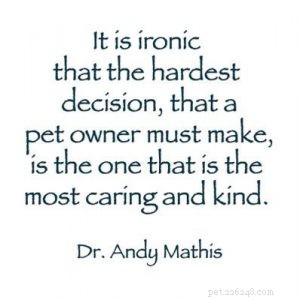 Preparing for Your Pet’s Final Days: A Compassionate Guide to Grief and Practical Steps